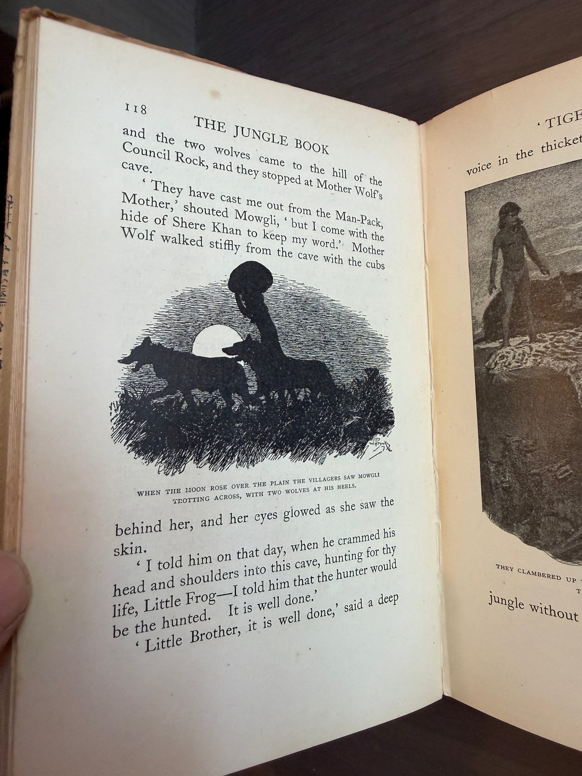 Jungle Bookshell