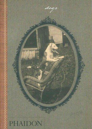 Dogs: Collected by Catherine Johnson Words by William Wegman [Hardcover] Johnson, Catherine and Wegman, William